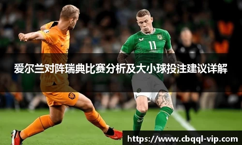爱尔兰对阵瑞典比赛分析及大小球投注建议详解